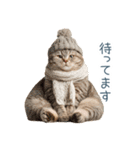 2026正月を祝うねこ【元旦・かわいい】（個別スタンプ：28）