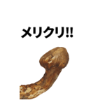 年末年始に使える松茸スタンプ【お正月】（個別スタンプ：3）