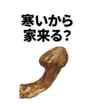 年末年始に使える松茸スタンプ【お正月】（個別スタンプ：6）