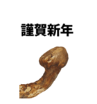 年末年始に使える松茸スタンプ【お正月】（個別スタンプ：12）