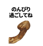 年末年始に使える松茸スタンプ【お正月】（個別スタンプ：14）