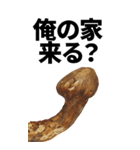 年末年始に使える松茸スタンプ【お正月】（個別スタンプ：15）