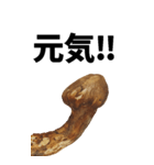 年末年始に使える松茸スタンプ【お正月】（個別スタンプ：17）