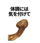 年末年始に使える松茸スタンプ【お正月】（個別スタンプ：24）