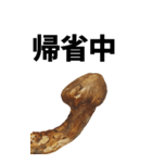 年末年始に使える松茸スタンプ【お正月】（個別スタンプ：25）