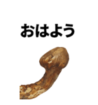 年末年始に使える松茸スタンプ【お正月】（個別スタンプ：27）