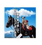 ♡馬に乗る犬♡（個別スタンプ：8）