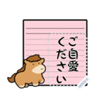 かわいい馬のノート風メッセージスタンプ（個別スタンプ：21）