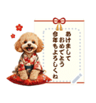 自由に文字を入力できる♪お正月トイプー（個別スタンプ：1）