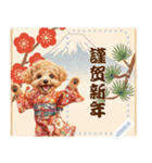 自由に文字を入力できる♪お正月トイプー（個別スタンプ：12）