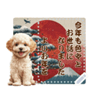 自由に文字を入力できる♪お正月トイプー（個別スタンプ：16）