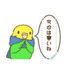 お正月！鳥のメッセージスタンプ（個別スタンプ：22）