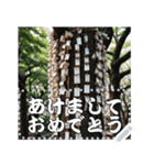 お正月の風景のメッセージスタンプ（個別スタンプ：19）