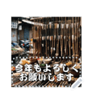 お正月の風景のメッセージスタンプ（個別スタンプ：20）