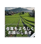 お正月の風景のメッセージスタンプ（個別スタンプ：24）