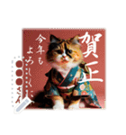 文字入力できる♥着物ネコの年賀スタンプ（個別スタンプ：4）