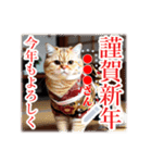 文字入力できる♥着物ネコの年賀スタンプ（個別スタンプ：7）