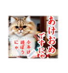 文字入力できる♥着物ネコの年賀スタンプ（個別スタンプ：13）