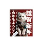 文字入力できる♥着物ネコの年賀スタンプ（個別スタンプ：15）