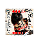 文字入力できる♥着物ネコの年賀スタンプ（個別スタンプ：18）