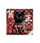 文字入力できる♥着物ネコの年賀スタンプ（個別スタンプ：20）