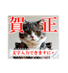 文字入力できる♥着物ネコの年賀スタンプ（個別スタンプ：23）