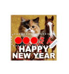 文字入力できる♥着物ネコの年賀スタンプ（個別スタンプ：24）