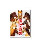 文を書き込める♥年賀★クッキー馬フレーム（個別スタンプ：5）