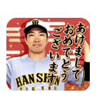 阪神タイガース ビジターユニ あけおめ（個別スタンプ：1）