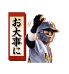 阪神タイガース ビジターユニ あけおめ（個別スタンプ：16）