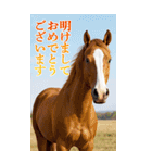 馬の写真【年賀・日常】BIGスタンプ（個別スタンプ：5）