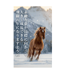 馬の写真【年賀・日常】BIGスタンプ（個別スタンプ：9）