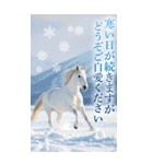 馬の写真【年賀・日常】BIGスタンプ（個別スタンプ：12）