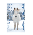 馬の写真【年賀・日常】BIGスタンプ（個別スタンプ：13）