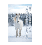 馬の写真【年賀・日常】BIGスタンプ（個別スタンプ：14）