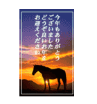 馬の写真【年賀・日常】BIGスタンプ（個別スタンプ：16）