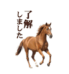 馬の写真【年賀・日常】BIGスタンプ（個別スタンプ：20）