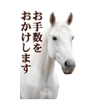 馬の写真【年賀・日常】BIGスタンプ（個別スタンプ：26）