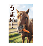 馬の写真【年賀・日常】BIGスタンプ（個別スタンプ：27）
