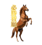 馬の写真【年賀・日常】BIGスタンプ（個別スタンプ：29）