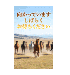 馬の写真【年賀・日常】BIGスタンプ（個別スタンプ：30）