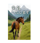 馬の写真【年賀・日常】BIGスタンプ（個別スタンプ：31）