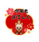 チワワのくーちゃんお正月スタンプ2026ver（個別スタンプ：6）