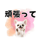 チワワのくーちゃんお正月スタンプ2026ver（個別スタンプ：18）