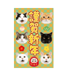 かわいい猫写真♪BIG お正月・年賀 2026（個別スタンプ：1）