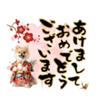 ふわもこポメラニアン子犬のお正月スタンプ（個別スタンプ：1）