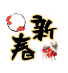 ふわもこポメラニアン子犬のお正月スタンプ（個別スタンプ：7）
