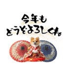 ふわもこポメラニアン子犬のお正月スタンプ（個別スタンプ：9）