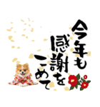 ふわもこポメラニアン子犬のお正月スタンプ（個別スタンプ：16）