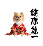 ふわもこポメラニアン子犬のお正月スタンプ（個別スタンプ：17）